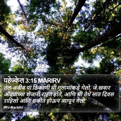 यहेज्केल 3:15 MARIRV Bible Verse Image