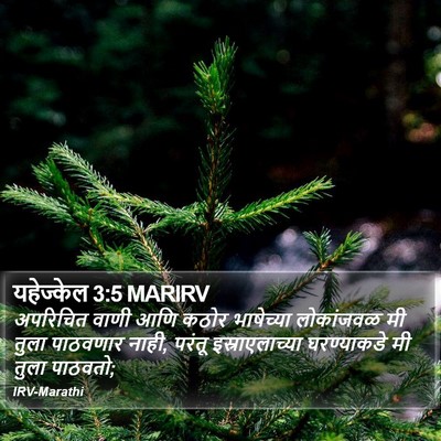 यहेज्केल 3:5 MARIRV Bible Verse Image