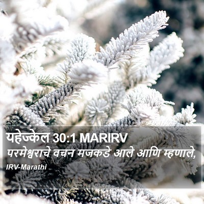 यहेज्केल 30:1 MARIRV Bible Verse Image