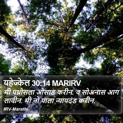 यहेज्केल 30:14 MARIRV Bible Verse Image