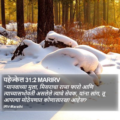 यहेज्केल 31:2 MARIRV Bible Verse Image