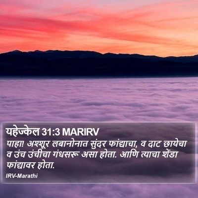 यहेज्केल 31:3 MARIRV Bible Verse Image