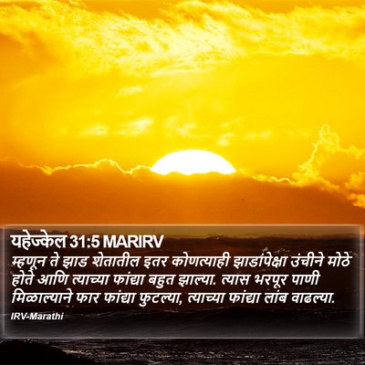 यहेज्केल 31:5 MARIRV Bible Verse Image