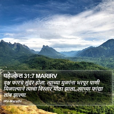 यहेज्केल 31:7 MARIRV Bible Verse Image