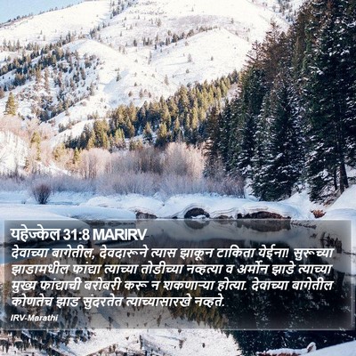 यहेज्केल 31:8 MARIRV Bible Verse Image