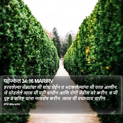 यहेज्केल 34:16 MARIRV Bible Verse Image