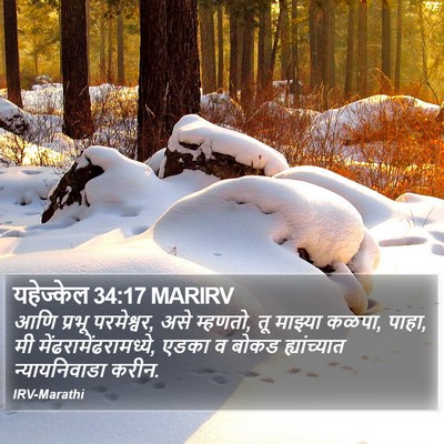 यहेज्केल 34:17 MARIRV Bible Verse Image