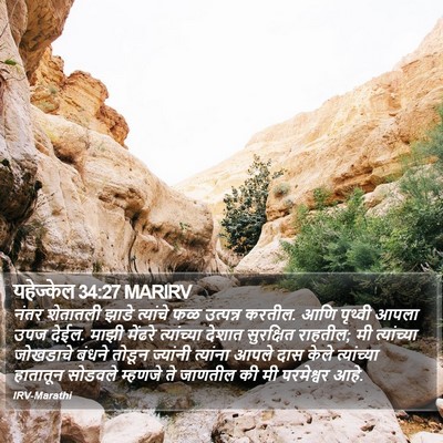 यहेज्केल 34:27 MARIRV Bible Verse Image
