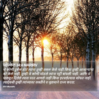 यहेज्केल 34:4 MARIRV Bible Verse Image