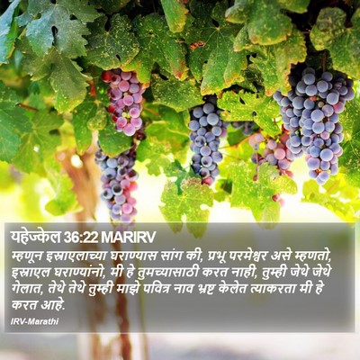 यहेज्केल 36:22 MARIRV Bible Verse Image