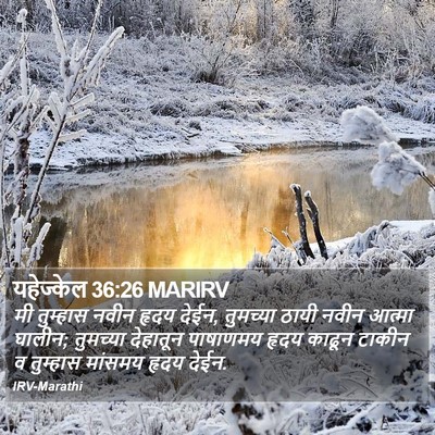 यहेज्केल 36:26 MARIRV Bible Verse Image