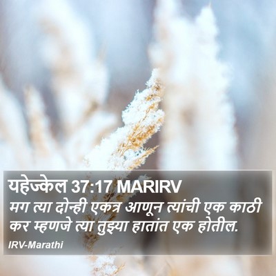 यहेज्केल 37:17 MARIRV Bible Verse Image