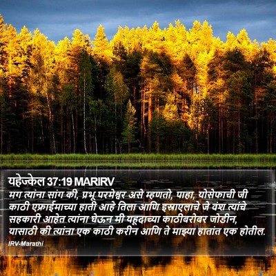 यहेज्केल 37:19 MARIRV Bible Verse Image