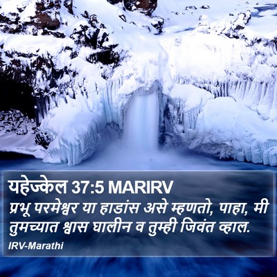 यहेज्केल 37:5 MARIRV Bible Verse Image