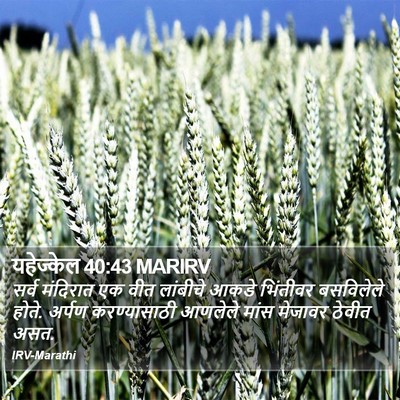 यहेज्केल 40:43 MARIRV Bible Verse Image