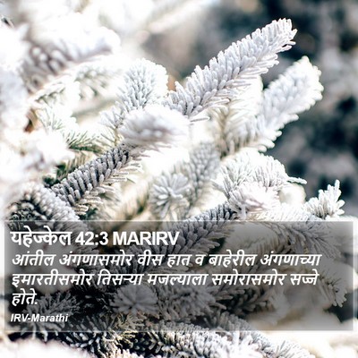 यहेज्केल 42:3 MARIRV Bible Verse Image