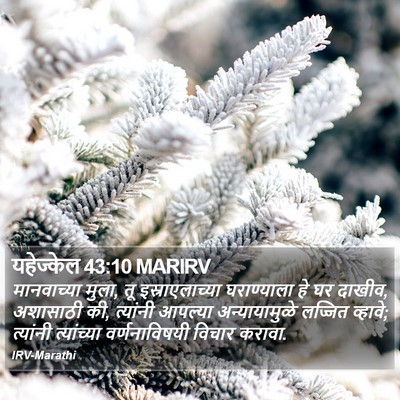 यहेज्केल 43:10 MARIRV Bible Verse Image