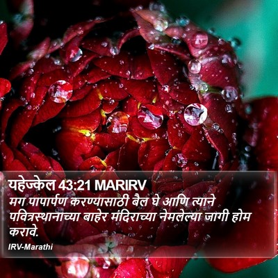 यहेज्केल 43:21 MARIRV Bible Verse Image