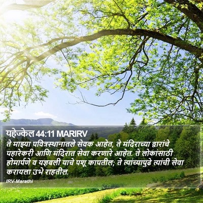 यहेज्केल 44:11 MARIRV Bible Verse Image