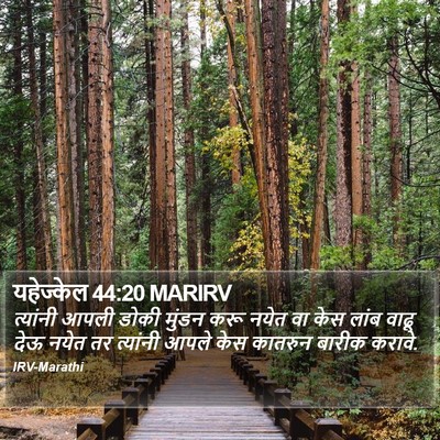 यहेज्केल 44:20 MARIRV Bible Verse Image