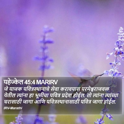 यहेज्केल 45:4 MARIRV Bible Verse Image