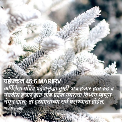 यहेज्केल 45:6 MARIRV Bible Verse Image