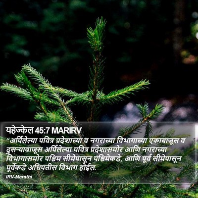 यहेज्केल 45:7 MARIRV Bible Verse Image