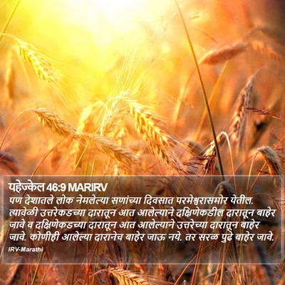 यहेज्केल 46:9 MARIRV Bible Verse Image