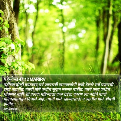 यहेज्केल 47:12 MARIRV Bible Verse Image