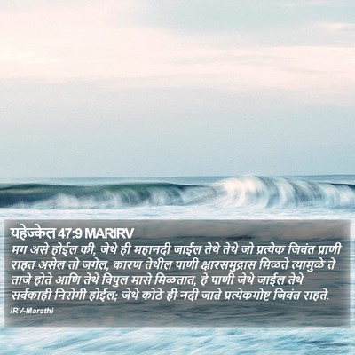 यहेज्केल 47:9 MARIRV Bible Verse Image