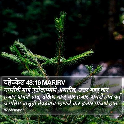 यहेज्केल 48:16 MARIRV Bible Verse Image