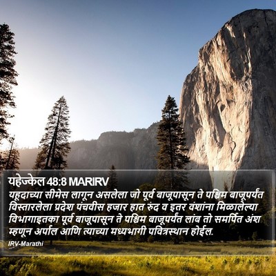 यहेज्केल 48:8 MARIRV Bible Verse Image