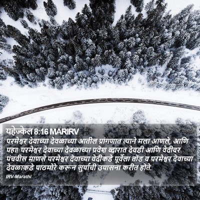 यहेज्केल 8:16 MARIRV Bible Verse Image