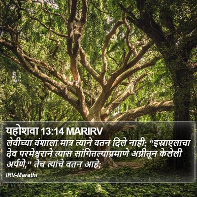 यहोशवा 13:14 MARIRV Bible Verse Image