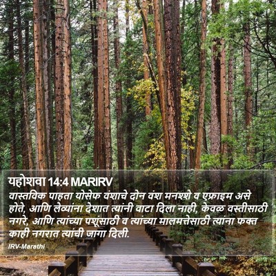 यहोशवा 14:4 MARIRV Bible Verse Image