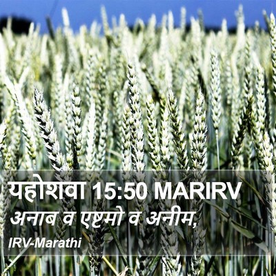 यहोशवा 15:50 MARIRV Bible Verse Image