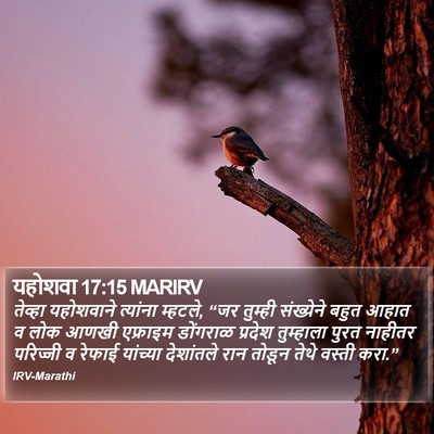 यहोशवा 17:15 MARIRV Bible Verse Image