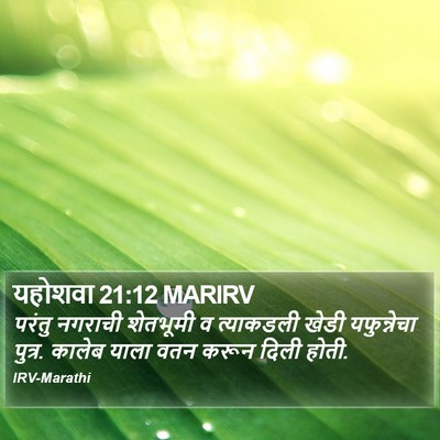 यहोशवा 21:12 MARIRV Bible Verse Image