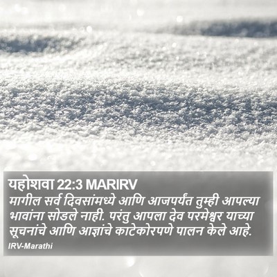 यहोशवा 22:3 MARIRV Bible Verse Image