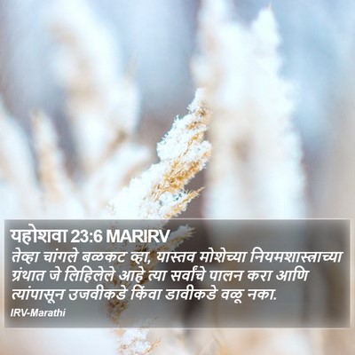यहोशवा 23:6 MARIRV Bible Verse Image