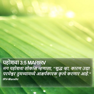 यहोशवा 3:5 MARIRV Bible Verse Image