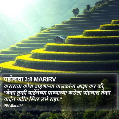 यहोशवा 3:8 MARIRV Bible Verse Image
