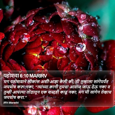 यहोशवा 6:10 MARIRV Bible Verse Image