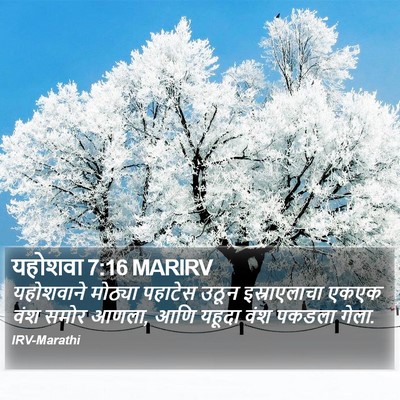 यहोशवा 7:16 MARIRV Bible Verse Image