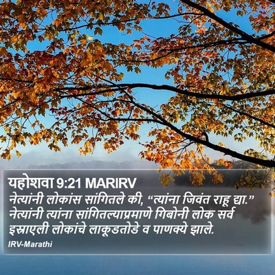 यहोशवा 9:21 MARIRV Bible Verse Image