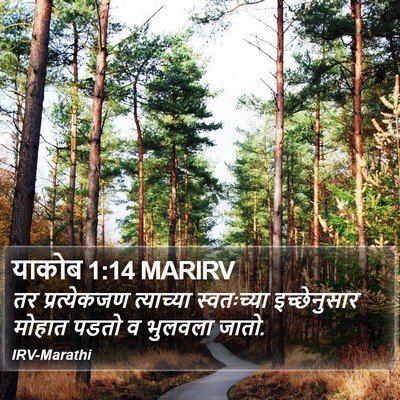 याकोब 1:14 MARIRV Bible Verse Image
