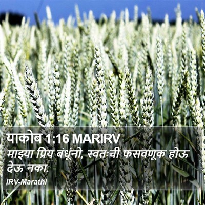 याकोब 1:16 MARIRV Bible Verse Image