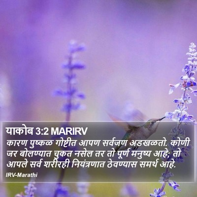 याकोब 3:2 MARIRV Bible Verse Image
