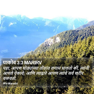 याकोब 3:3 MARIRV Bible Verse Image