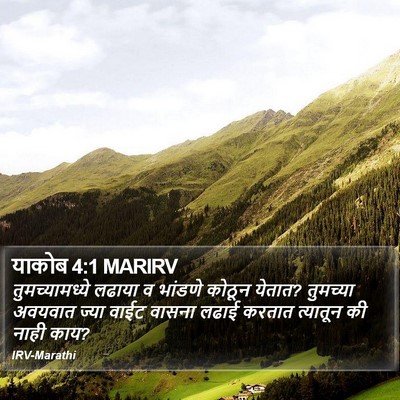 याकोब 4:1 MARIRV Bible Verse Image